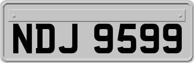NDJ9599