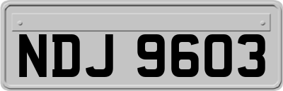 NDJ9603