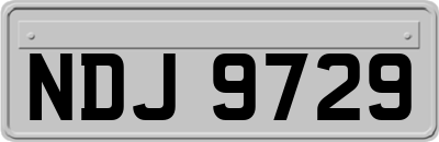 NDJ9729