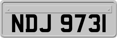 NDJ9731