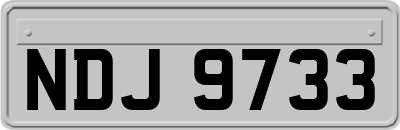 NDJ9733