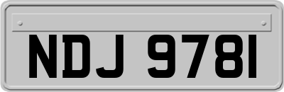 NDJ9781