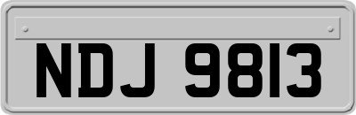 NDJ9813
