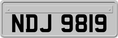 NDJ9819