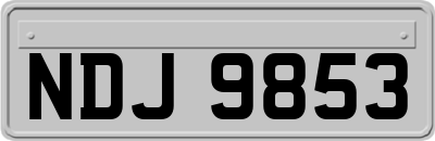 NDJ9853