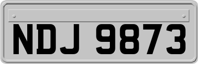 NDJ9873