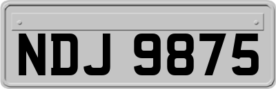 NDJ9875