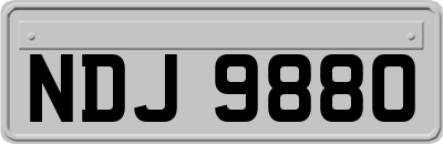 NDJ9880