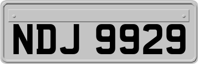 NDJ9929