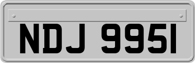 NDJ9951
