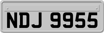 NDJ9955