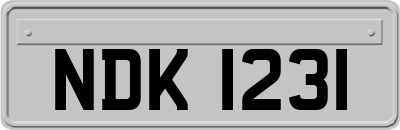 NDK1231