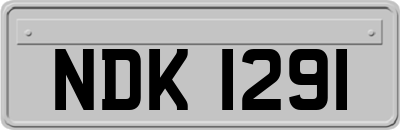 NDK1291