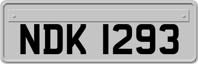NDK1293