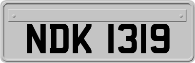 NDK1319