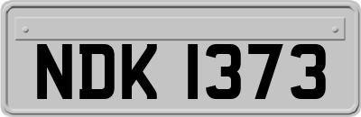 NDK1373