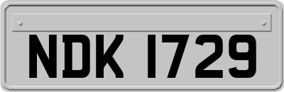 NDK1729