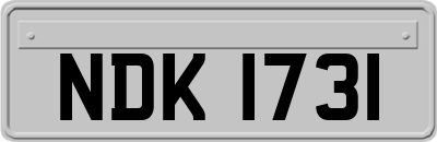 NDK1731