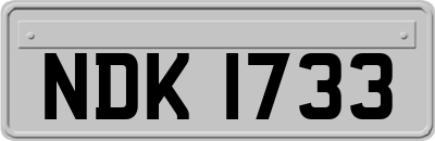 NDK1733