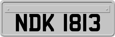 NDK1813