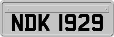 NDK1929