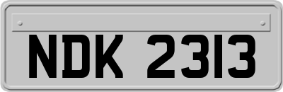 NDK2313