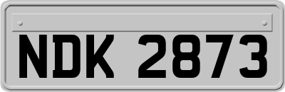 NDK2873