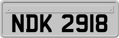 NDK2918