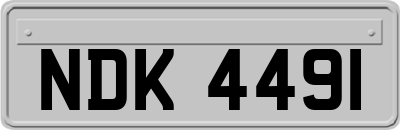 NDK4491
