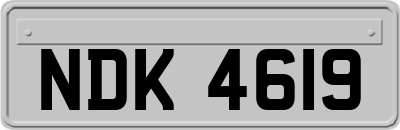 NDK4619