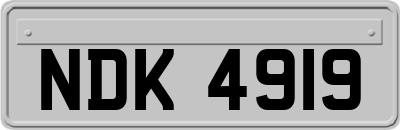 NDK4919