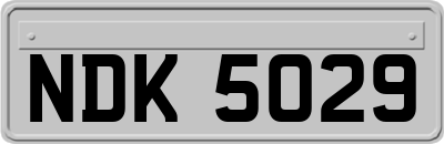 NDK5029