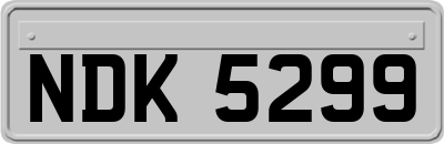 NDK5299