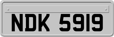 NDK5919