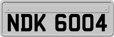 NDK6004