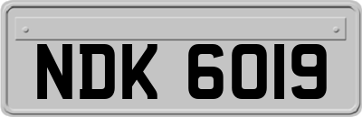 NDK6019