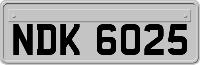 NDK6025