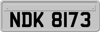 NDK8173