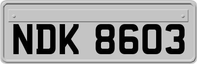 NDK8603