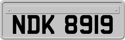 NDK8919