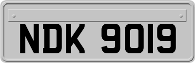NDK9019