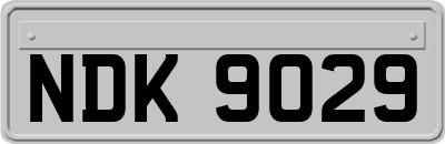 NDK9029