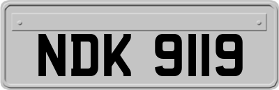 NDK9119
