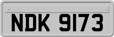NDK9173