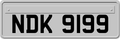 NDK9199