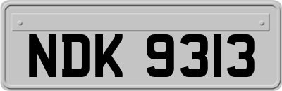 NDK9313