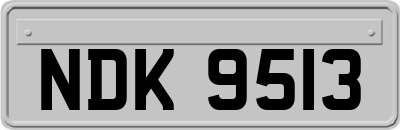 NDK9513