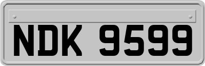 NDK9599