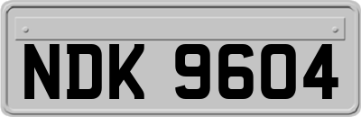NDK9604