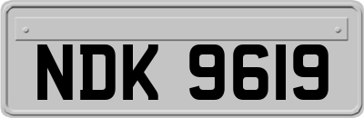 NDK9619